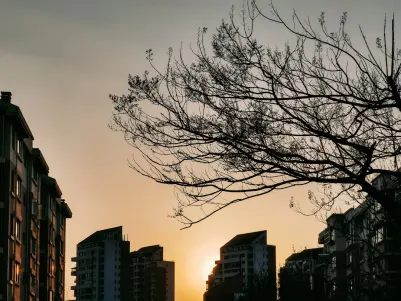 카지노 크레이즈 플레이 모바일 앱